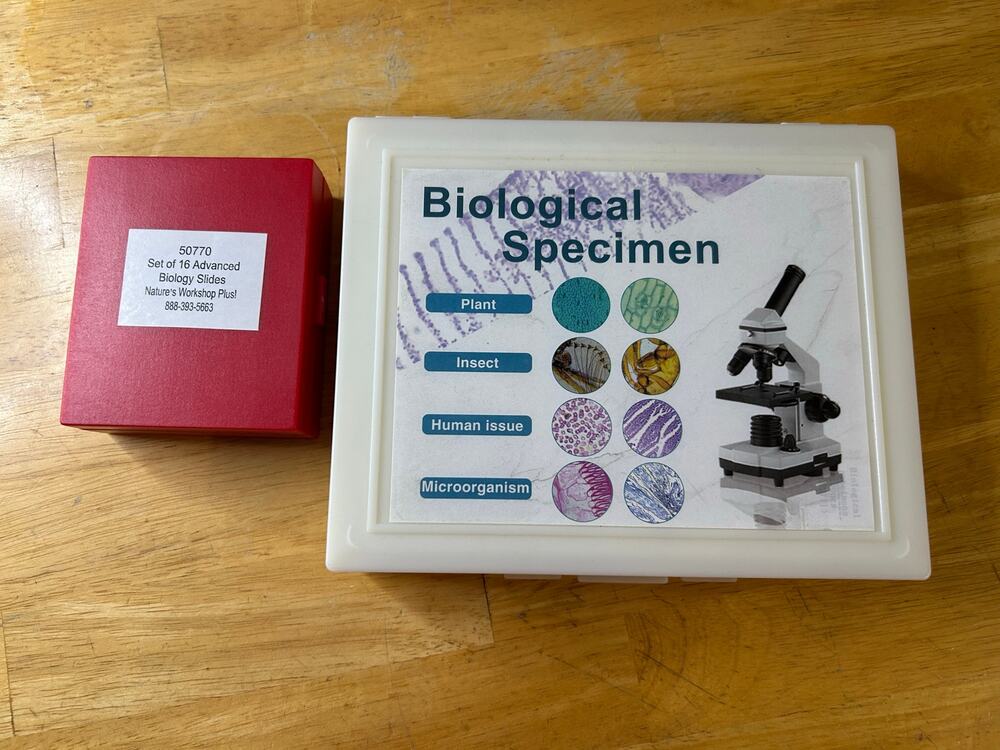 Biological slides plus bonus Microscope.